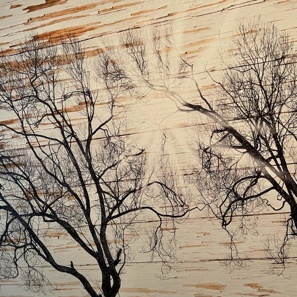 Sunburst Landscape Canvas - Picture 6 of 8